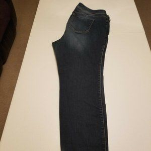 Size 20R Torrid Premium Luxe Blue Skinny Jeans